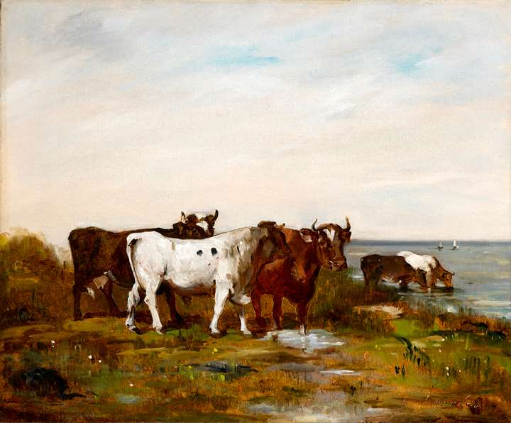 A bull and cattle in a landscape
